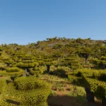 minecraft map, minecraft civilization map, minecraft map download, minecraft hunger games