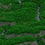 minecraft map, jungle minecraft map, minecraft map download, minecraft hunger games