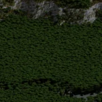 minecraft map, mangrove minecraft map, minecraft map download, minecraft hunger games, swamp minecraft map